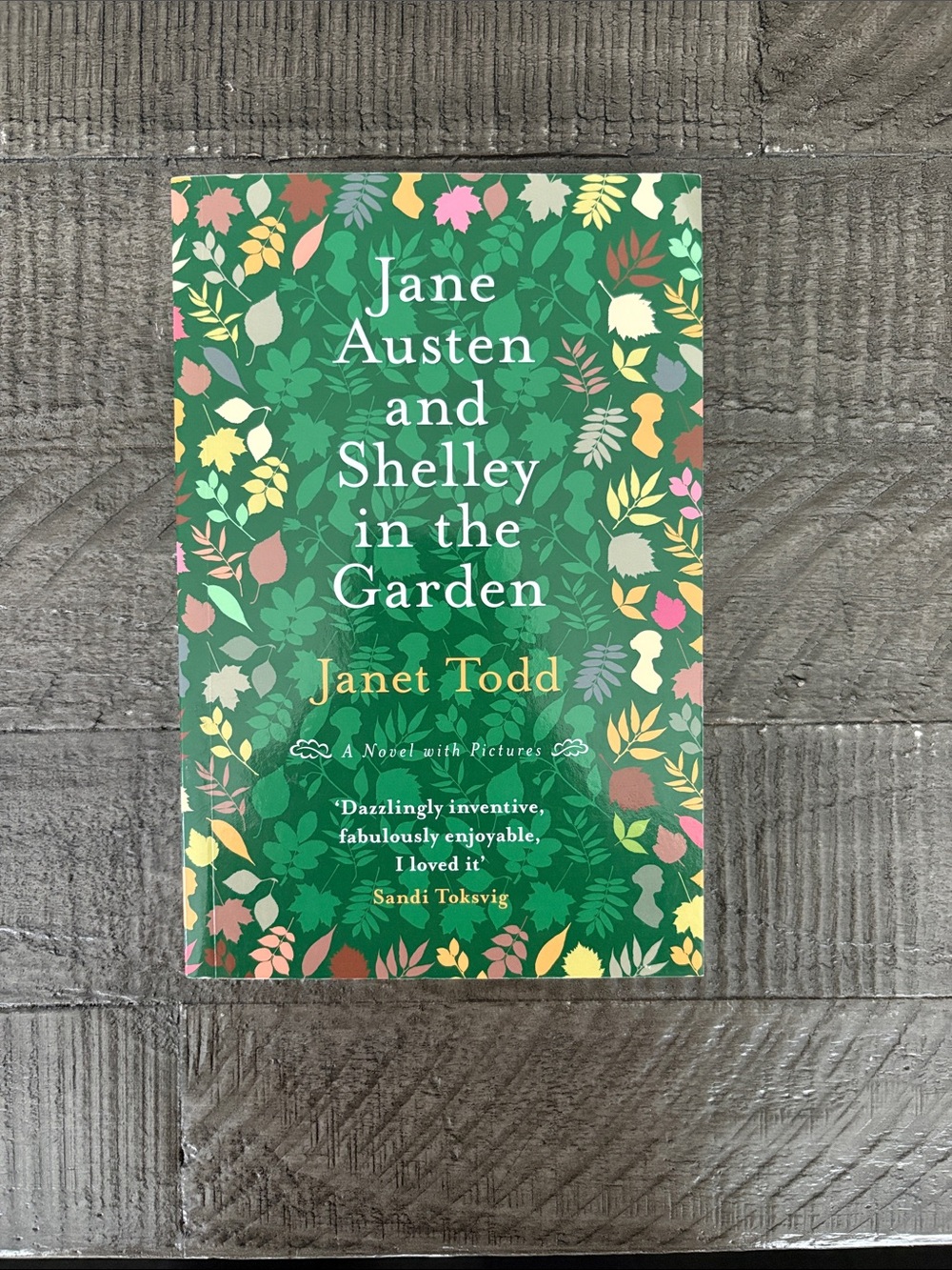 Jane Austen and Shelley in the Garden by Janet Todd Paperback Book